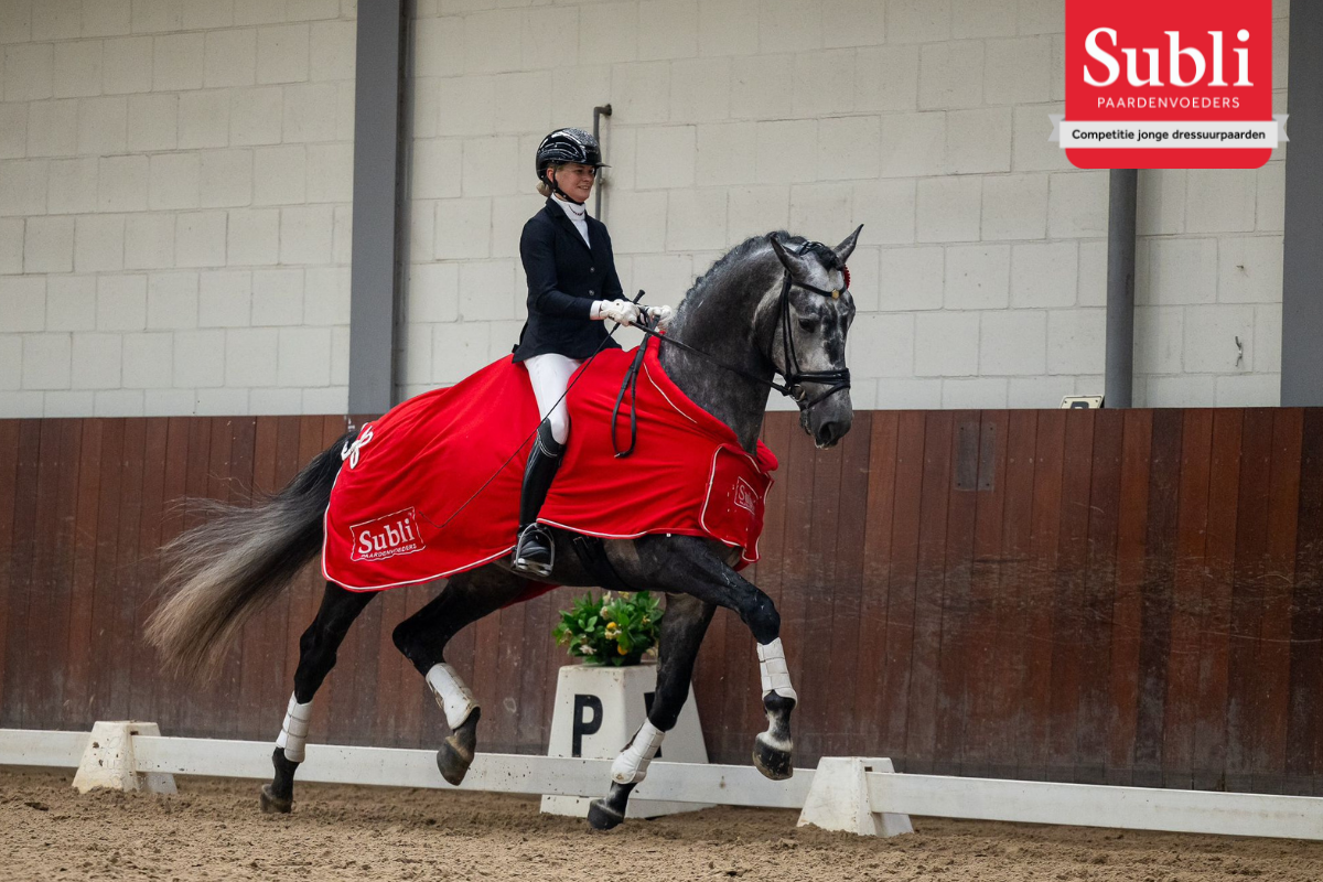 Winnaar vierjarigen Anke van Moer met Hexagon’s Power Dutch