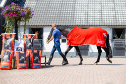 Diederik van Silfhout met paard en Subli voerzakken op het erf